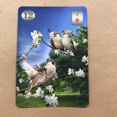 Оракул Телема Ленорман