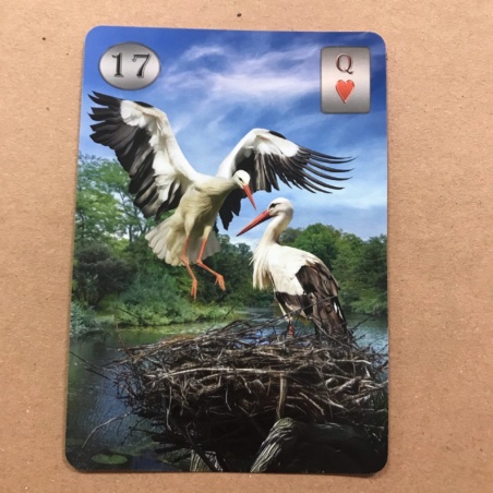 Оракул Телема Ленорман