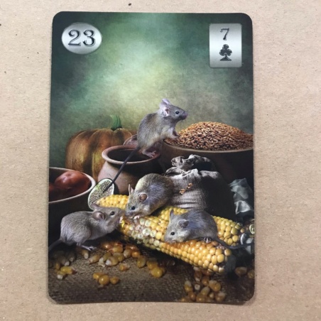 Оракул Телема Ленорман