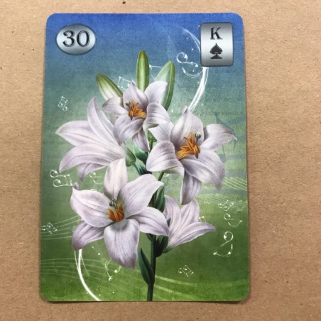 Оракул Телема Ленорман