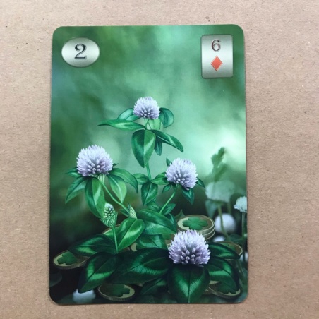 Оракул Телема Ленорман