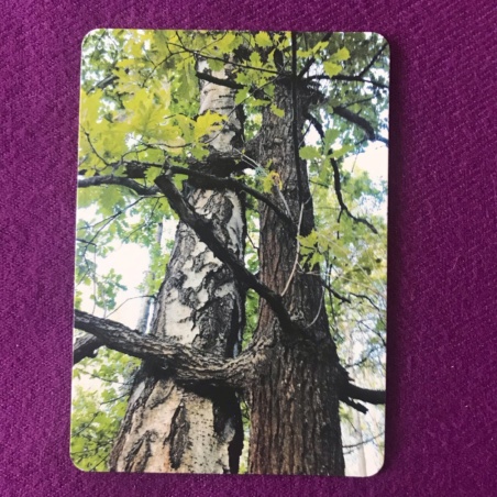 Метафорические карты 