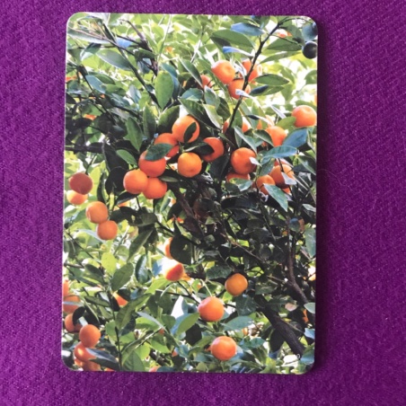 Метафорические карты 