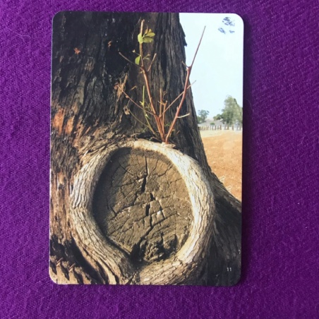 Метафорические карты 