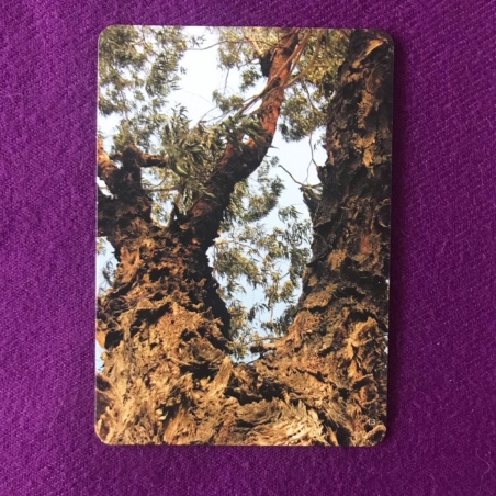 Метафорические карты 