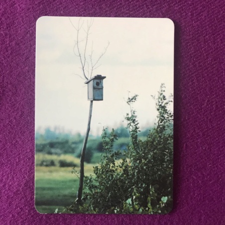 Метафорические карты 