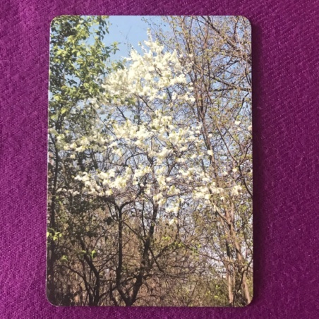 Метафорические карты 