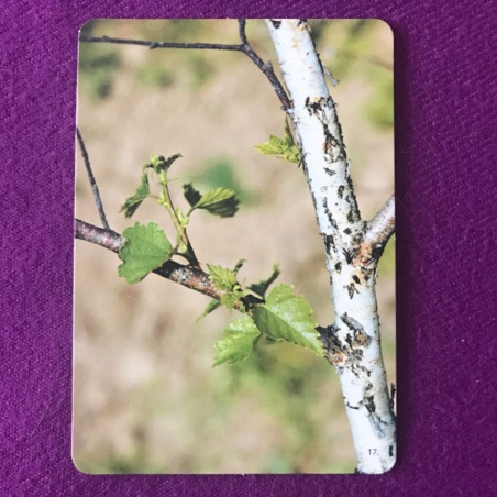 Метафорические карты 