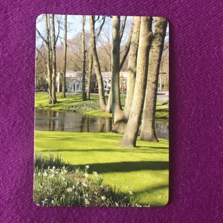 Метафорические карты 