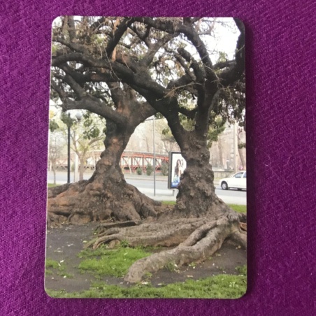 Метафорические карты 