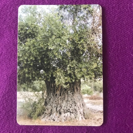 Метафорические карты 