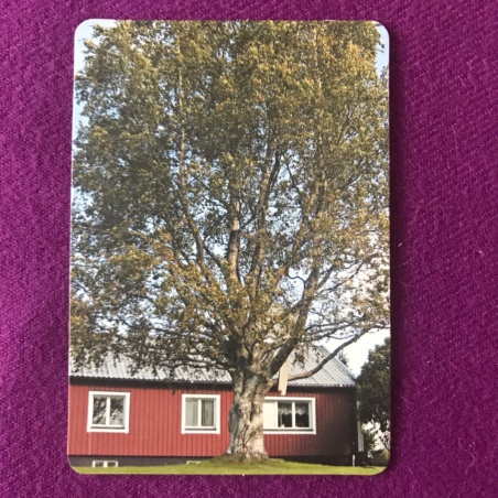 Метафорические карты 