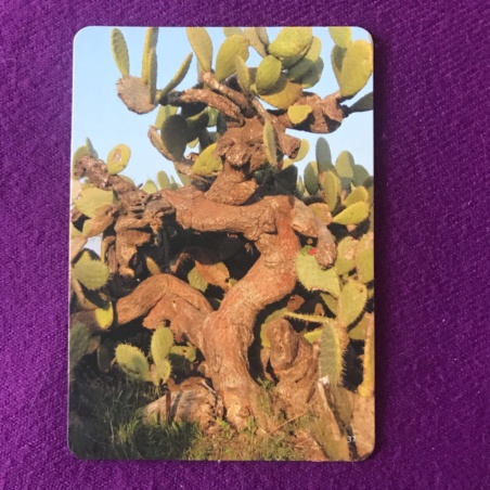 Метафорические карты 