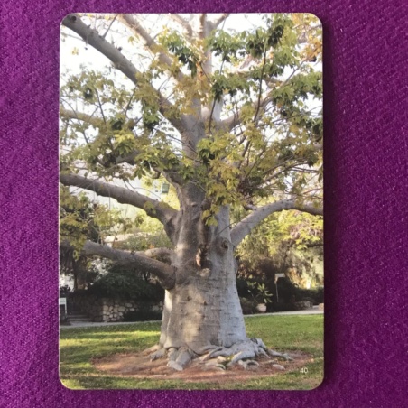 Метафорические карты 