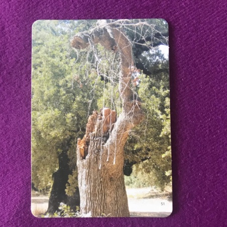 Метафорические карты 