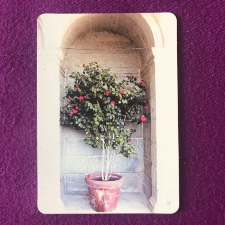 Метафорические карты 