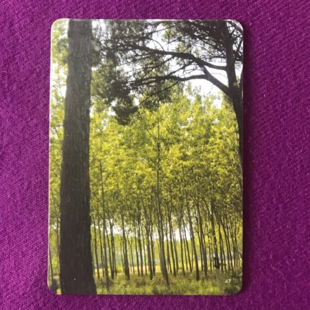 Метафорические карты 