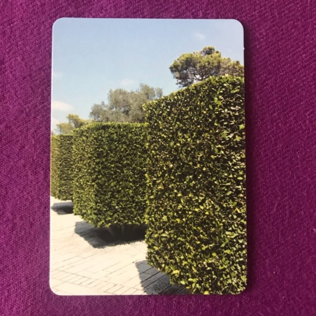 Метафорические карты 