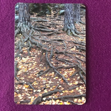 Метафорические карты 