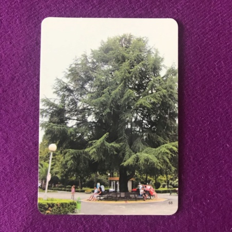 Метафорические карты 