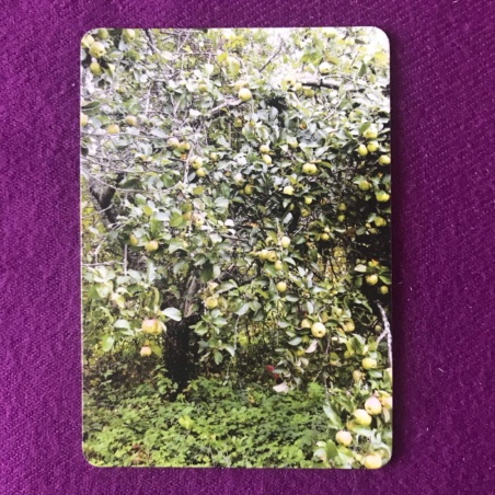 Метафорические карты 