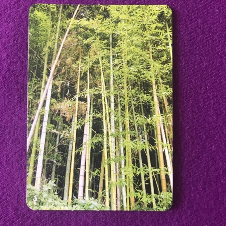 Метафорические карты 