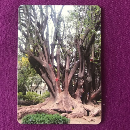 Метафорические карты 