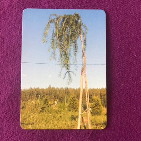 Метафорические карты 