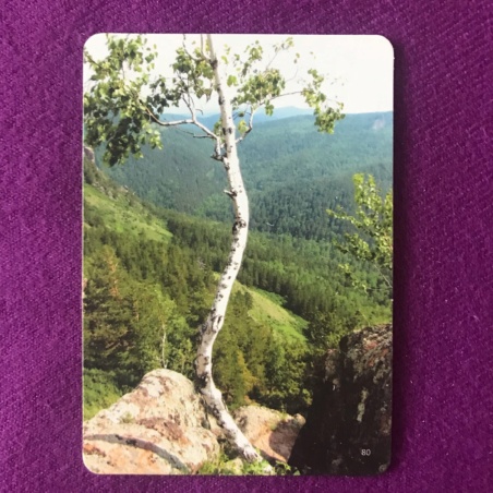 Метафорические карты 