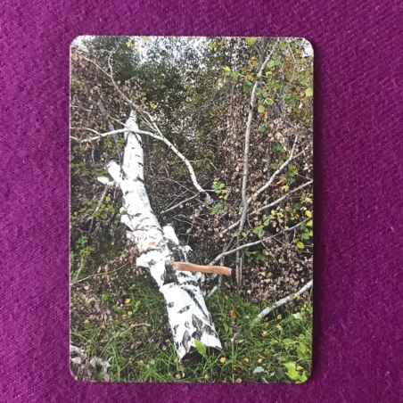 Метафорические карты 