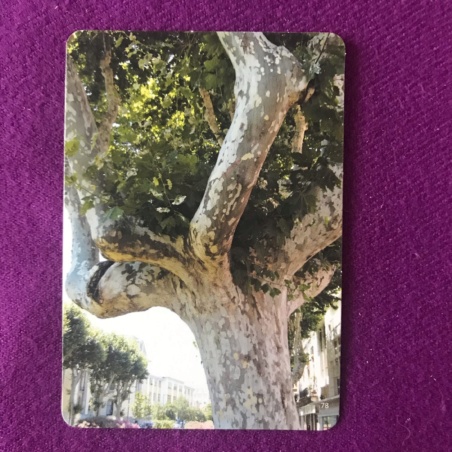 Метафорические карты 