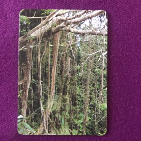 Метафорические карты 