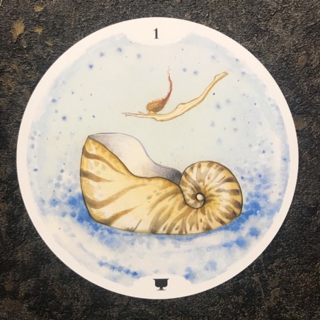 Круглое Таро Круг Жизни