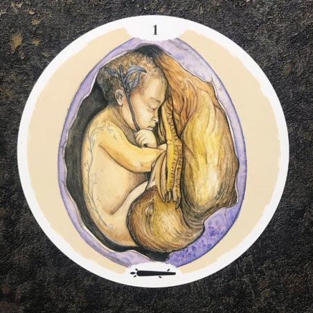 Круглое Таро Круг Жизни