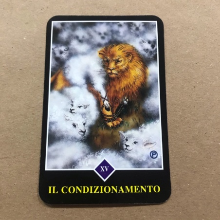 Набор Ошо Дзэн Таро карты и книга