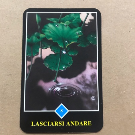 Набор Ошо Дзэн Таро карты и книга