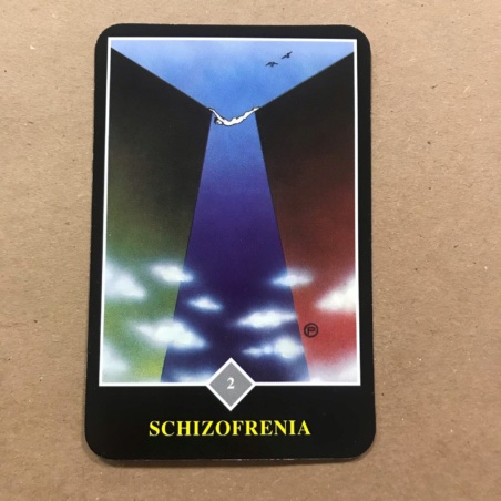 Набор Ошо Дзэн Таро карты и книга