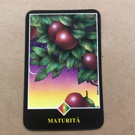 Набор Ошо Дзэн Таро карты и книга