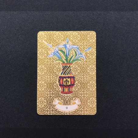 Золотой оракул Нострадамуса