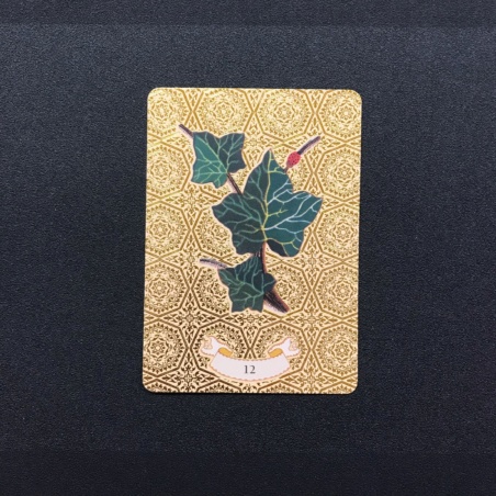 Золотой оракул Нострадамуса