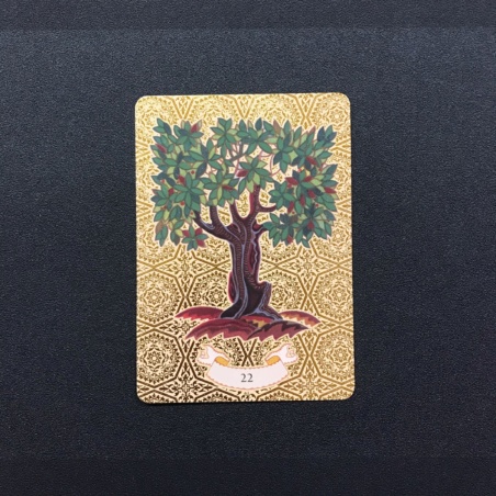 Золотой оракул Нострадамуса