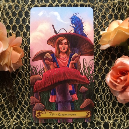 Таро В Стране Чудес Барбара Мур книга + карты