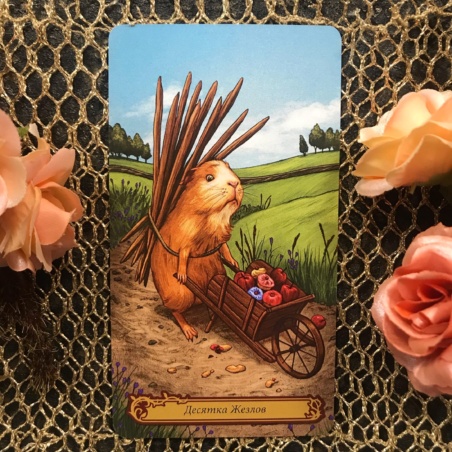 Таро В Стране Чудес Барбара Мур книга + карты