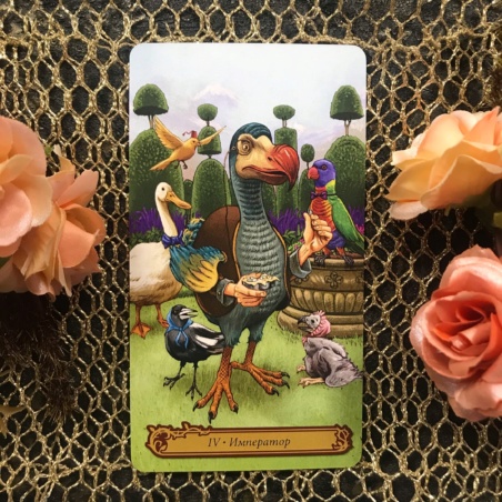 Таро В Стране Чудес Барбара Мур книга + карты