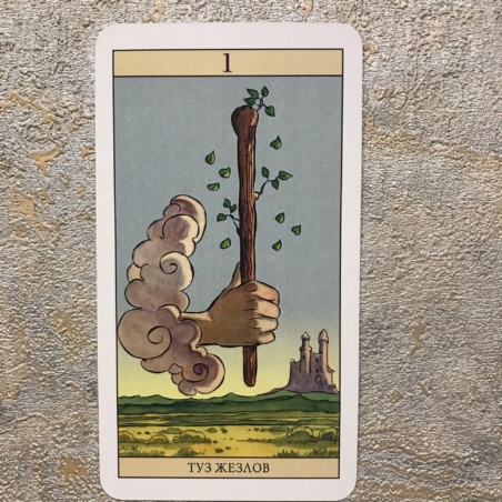 Таро Нью Вижн