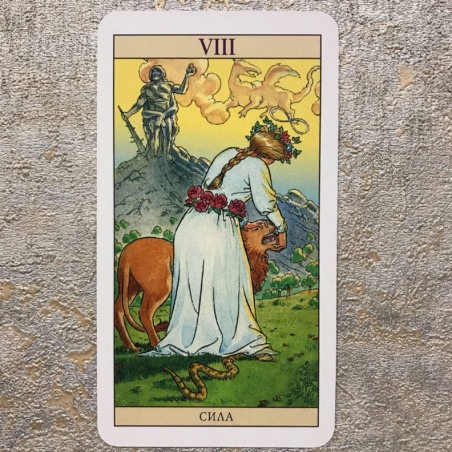 Таро Нью Вижн