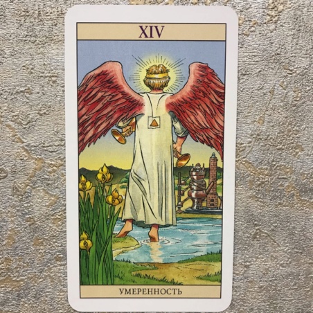 Таро Нью Вижн