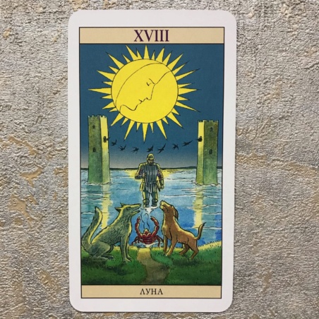 Таро Нью Вижн