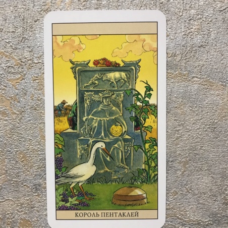 Таро Нью Вижн