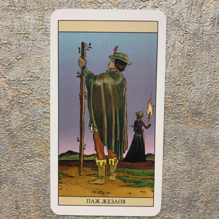 Таро Нью Вижн